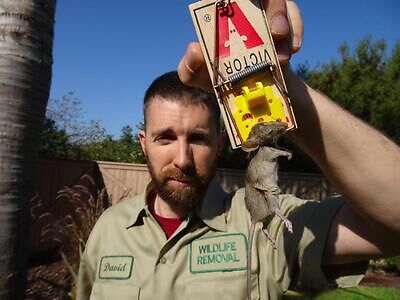 Waco pest control